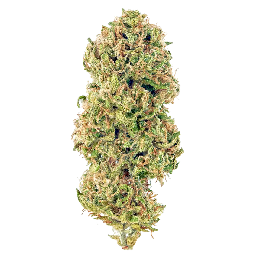 Huckleberry