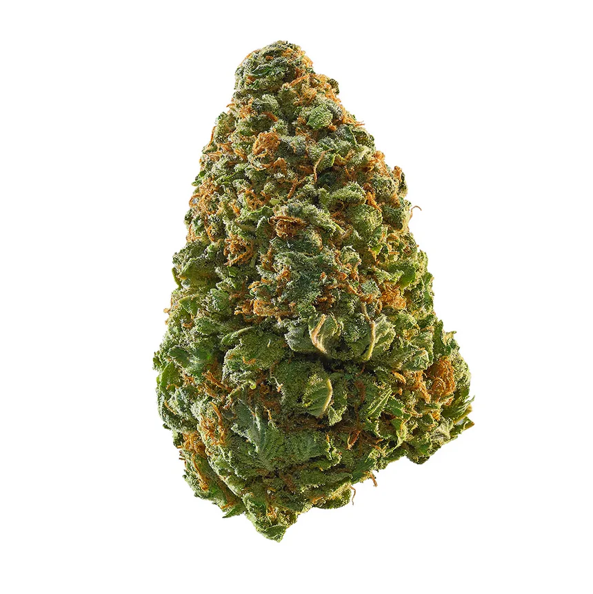 Jack Widow