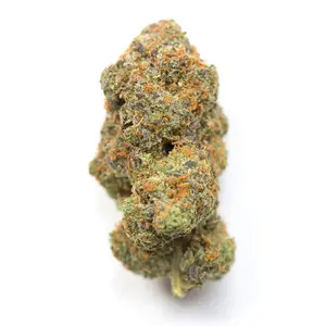 Master Skunk