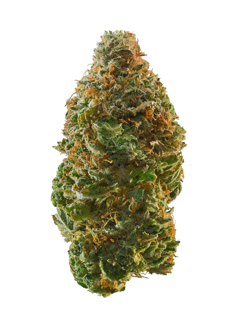 Morockin Kush