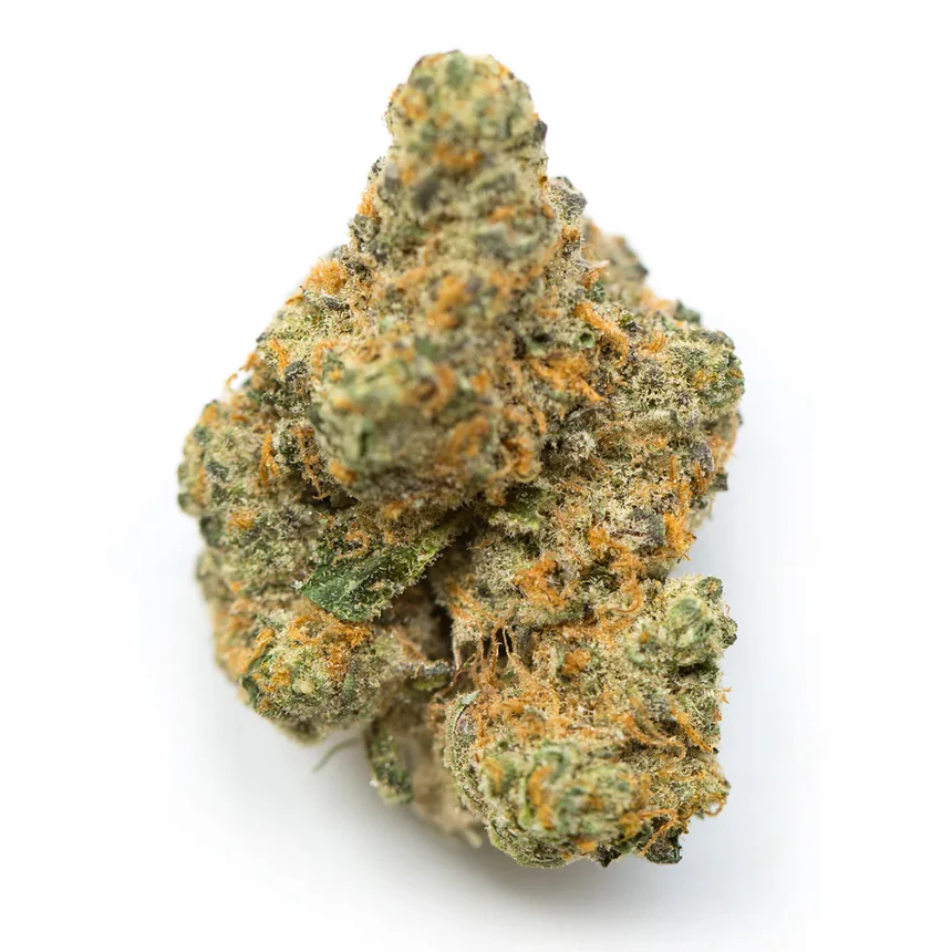 Peach Tree