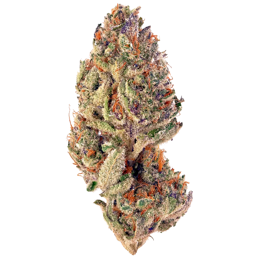 Purple Nepal