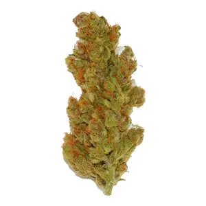 Purple Punch Og