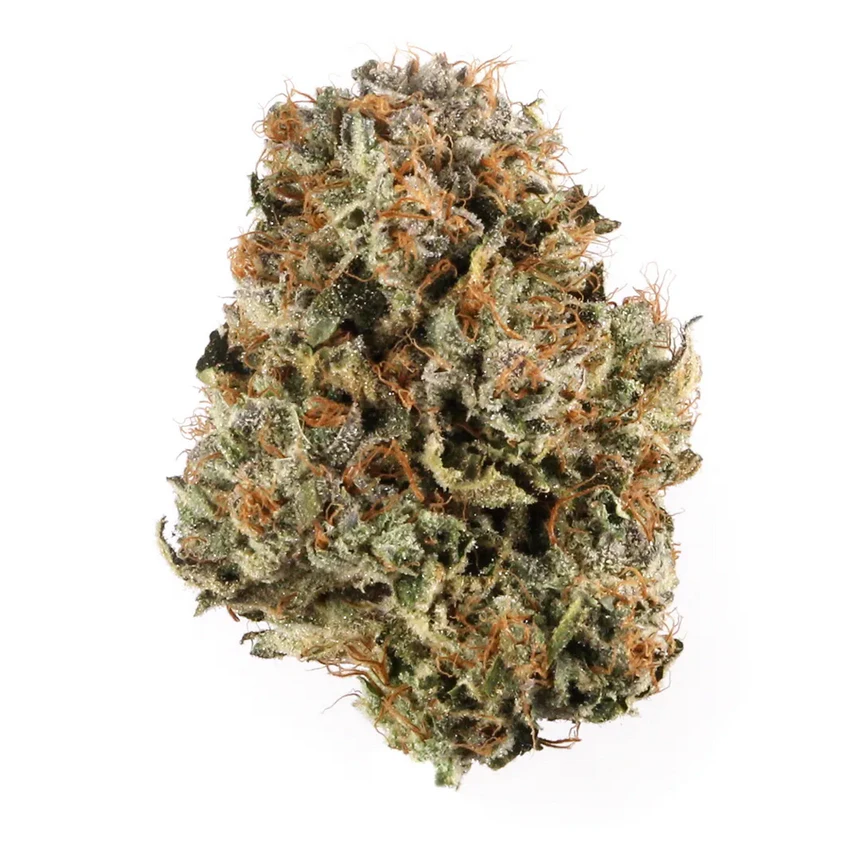 Salmon River Og