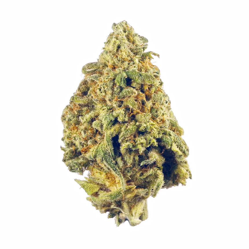 Sour Headband