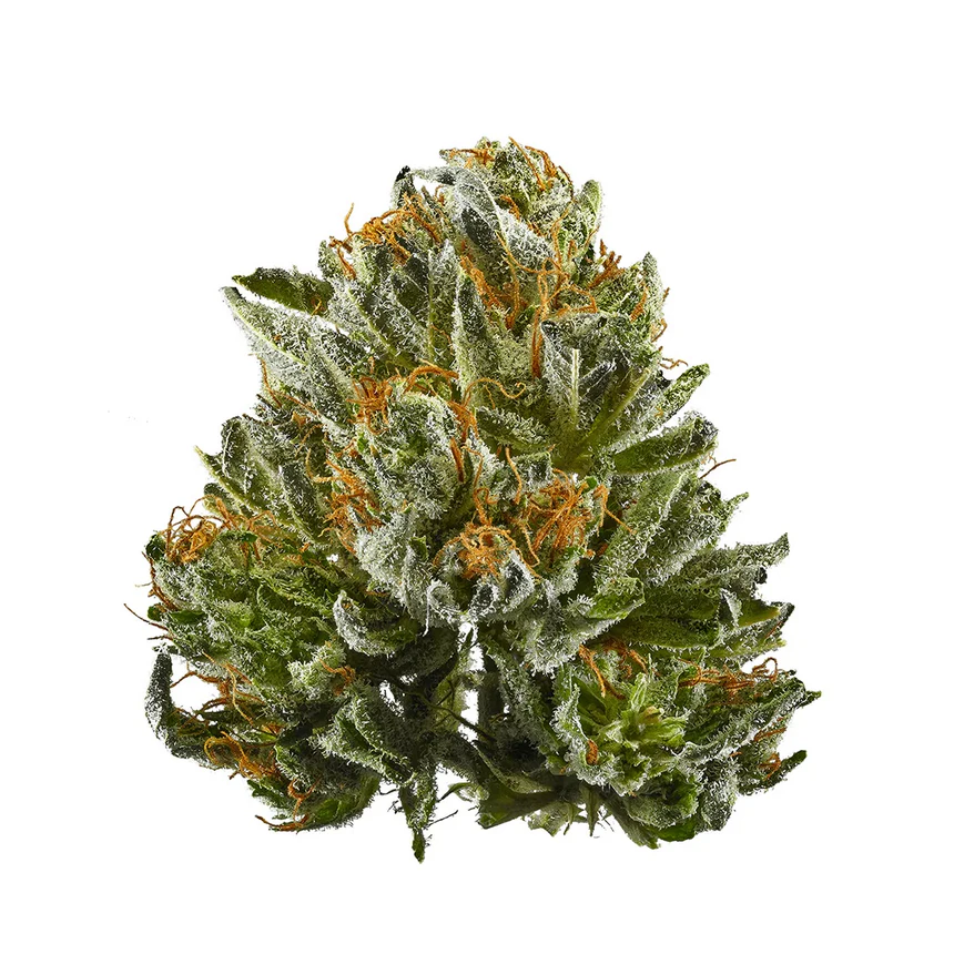 Sour Lemons