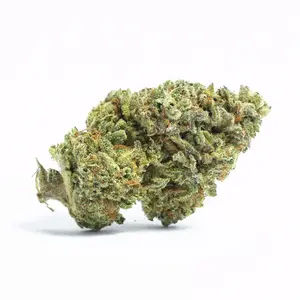 Stargazer