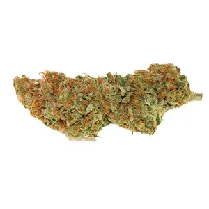 Sweet Amnesia Haze Xl Auto