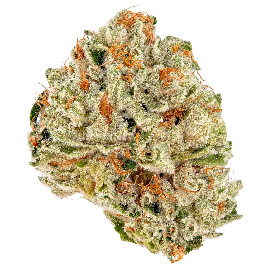 Tutti Frutti