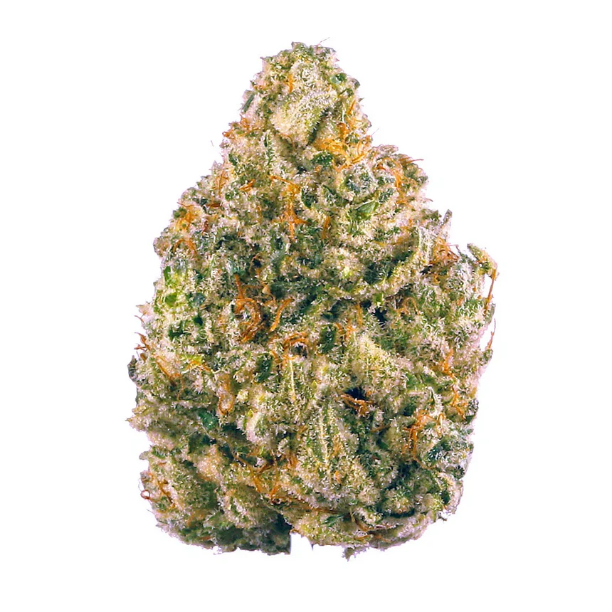 Unicorn Piss